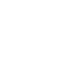 Vithal Vision Logo